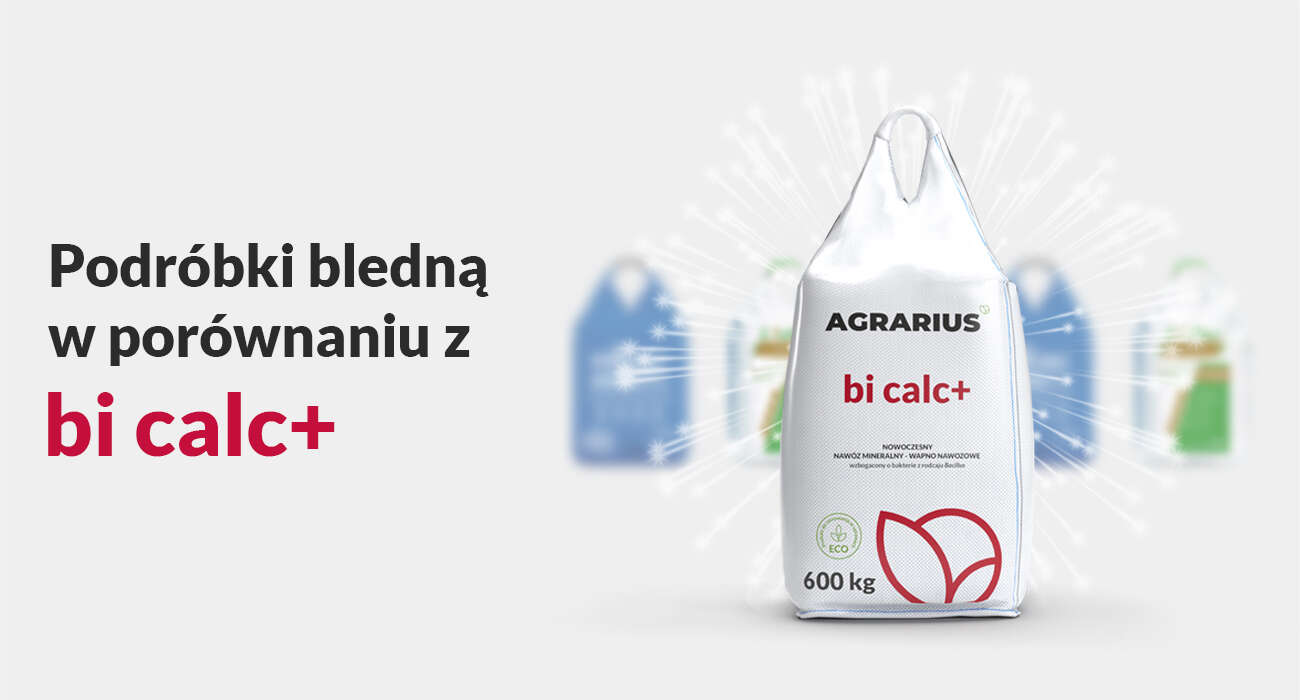 Кила в капусті, як з нею боротися?